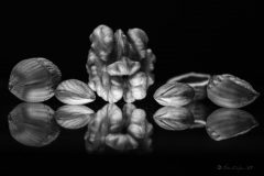 Olivier Duchene_ photographie_ écrire avec la lumière