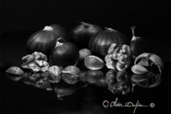 Olivier-Duchene_Jardin-hiver_cours-photo_-les-fruits-secs-font-les-stars_