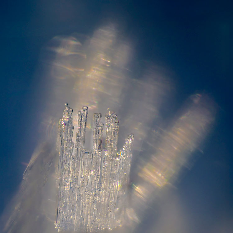 _ODF0232-4_olivierduchene_photographe_macro-hiver_frimasetsuspensions_